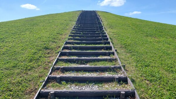 新規リピートを高めるポイント「目的の明確化」